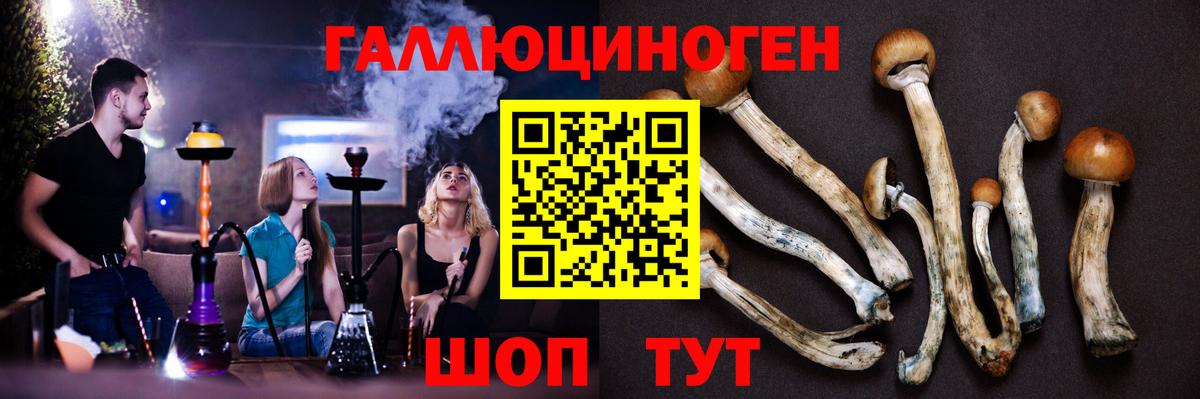 Галлюциногенные грибы ЛСД  Вход с VPN  Псилоцибиновые грибы мицелий  Новочеркасск 